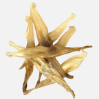 Naturally WILD Dog Treat - Rabbit Ears (No Hair)