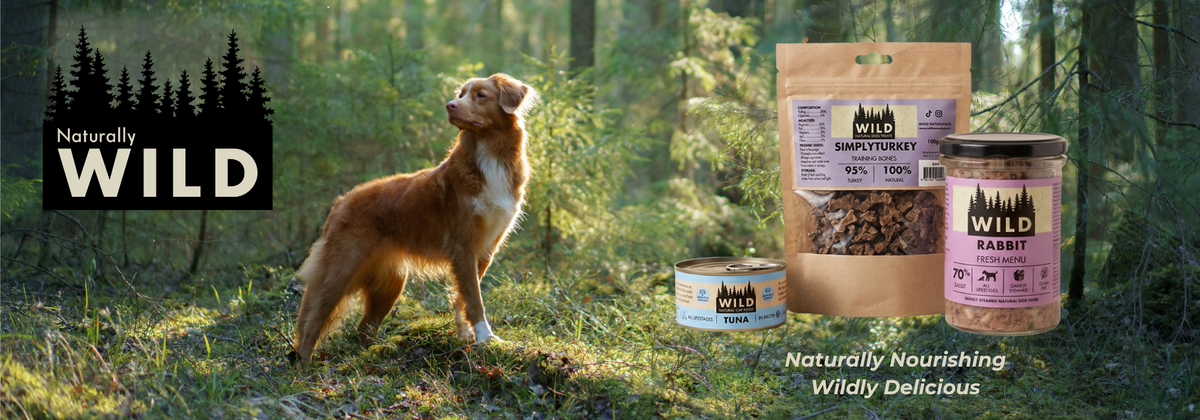 Naturally WILD. Naturally nourishing, wildly delicious. A pouch of Simply Turkey dog treats, a tin of tuna cat food and a jar of rabbit fresh dog food in front of a pine forest.